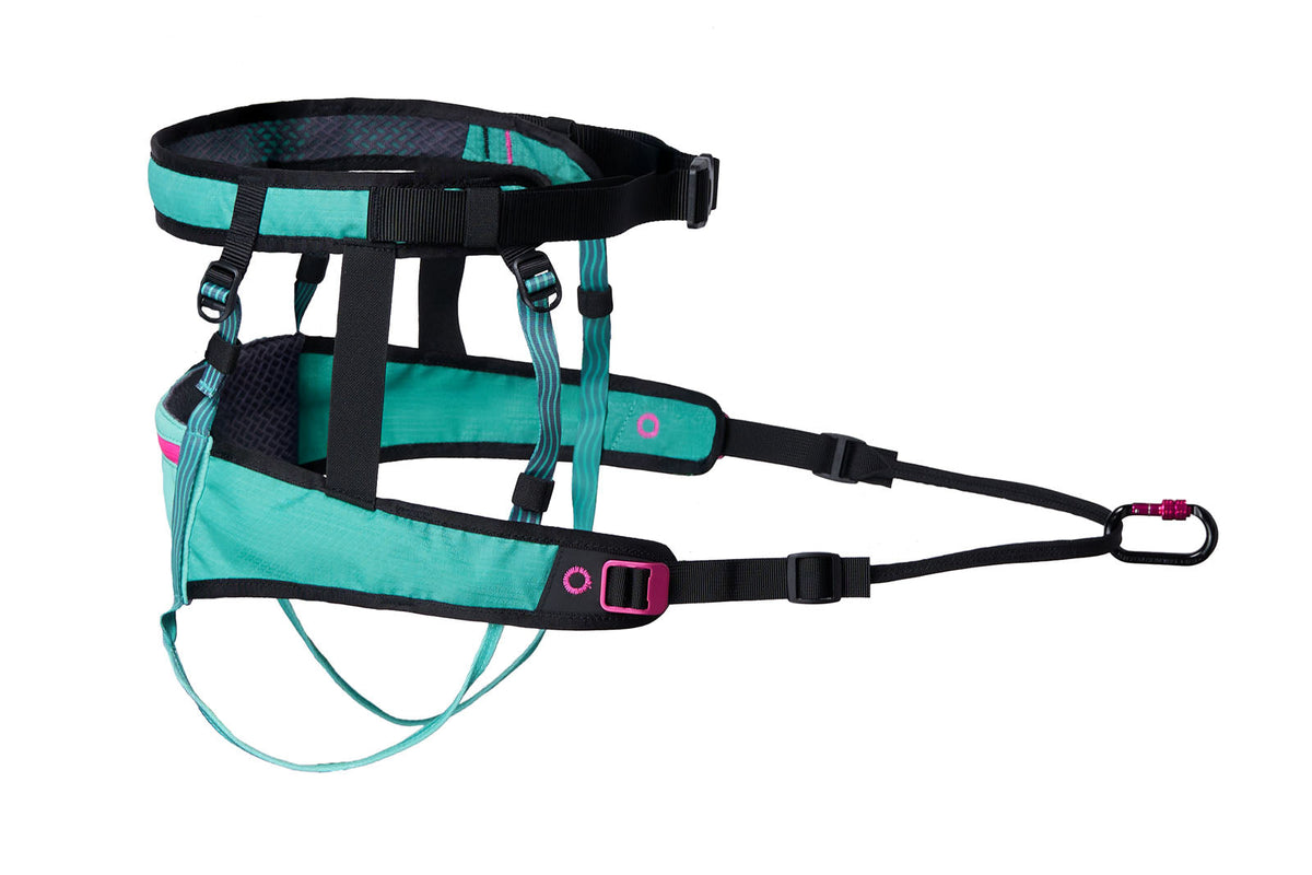 Cinturón de canicross para humanos - Non-Stop Dogwear Canix Belt 2.0