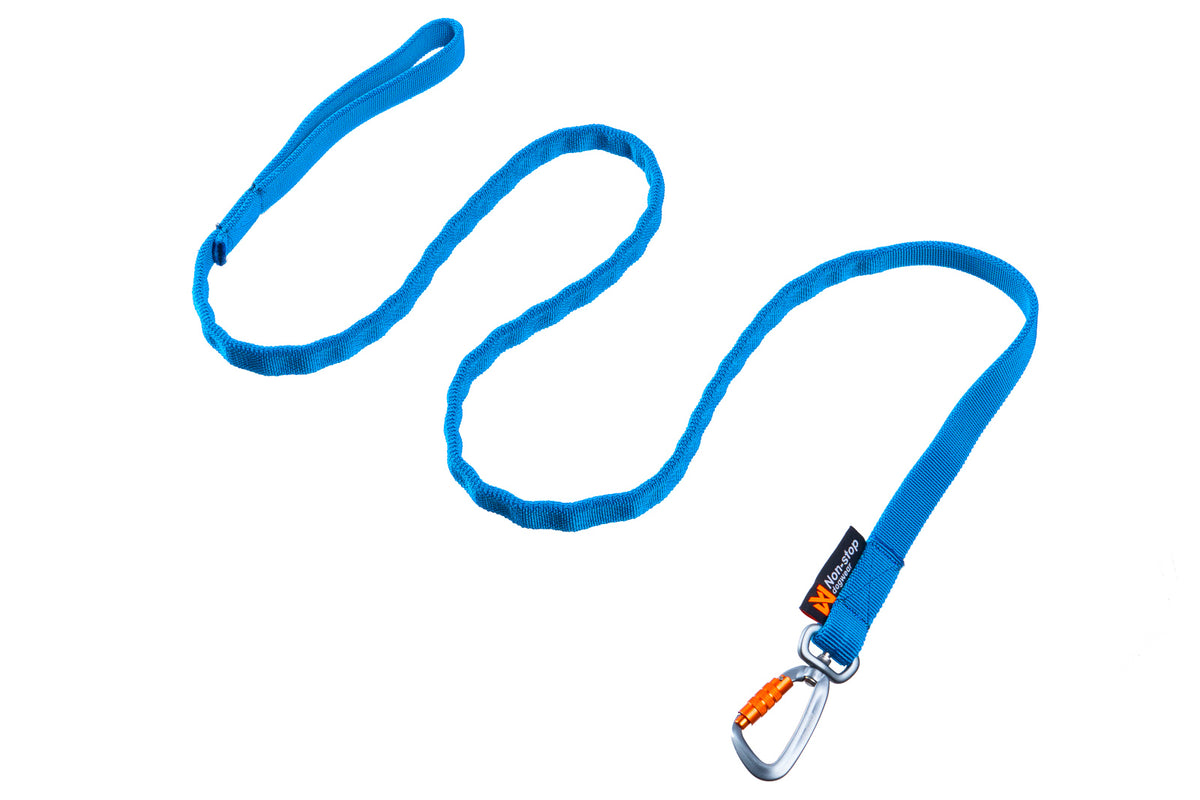 Bungee leash