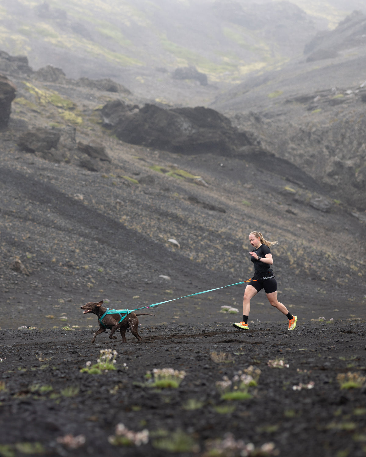 Bungee leash