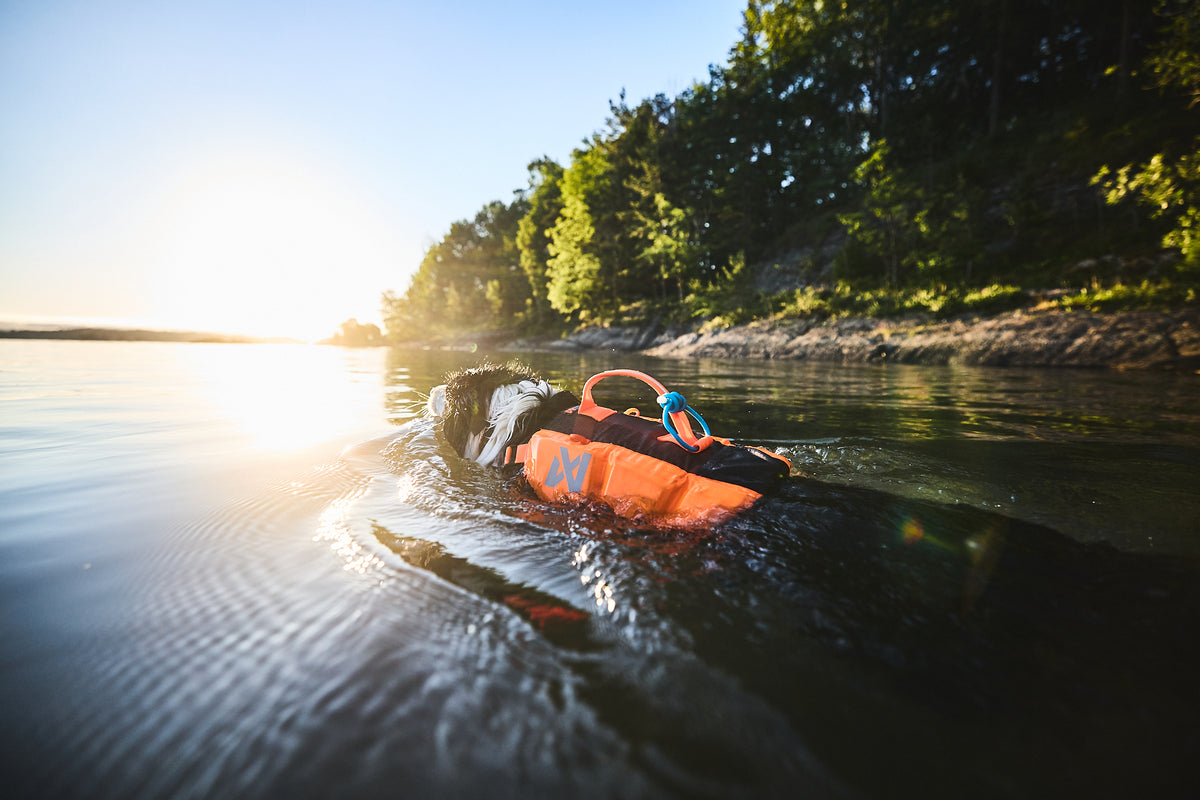 Non-stop dogwear Protector life jacket – Chaleco Salvavidas Innovador para Perros