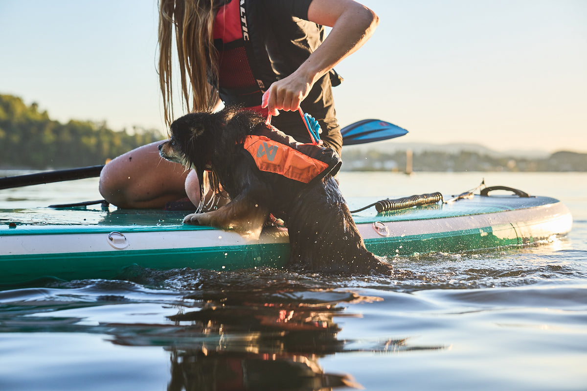 Non-stop dogwear Protector life jacket – Chaleco Salvavidas Innovador para Perros