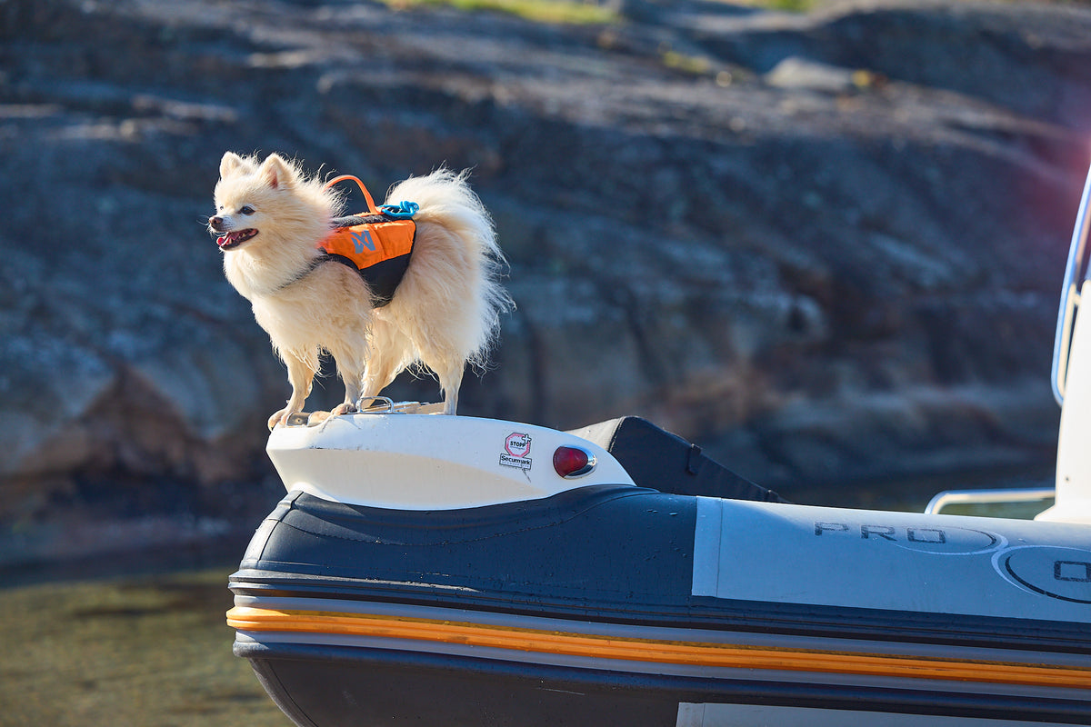 Non-stop dogwear Protector life jacket – Chaleco Salvavidas Innovador para Perros
