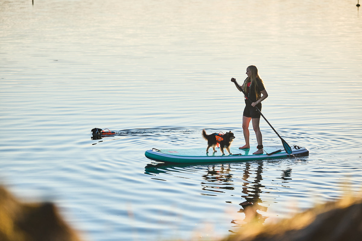 Non-stop dogwear Protector life jacket – Chaleco Salvavidas Innovador para Perros