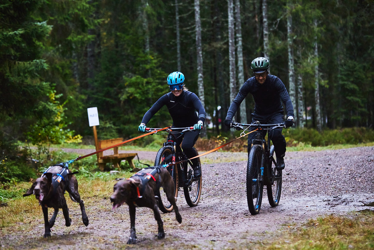 Bike Antenna Non-Stop Dogwear instalada en bicicleta con línea de tiro para perro
