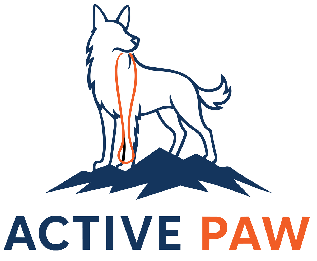 Active Paw